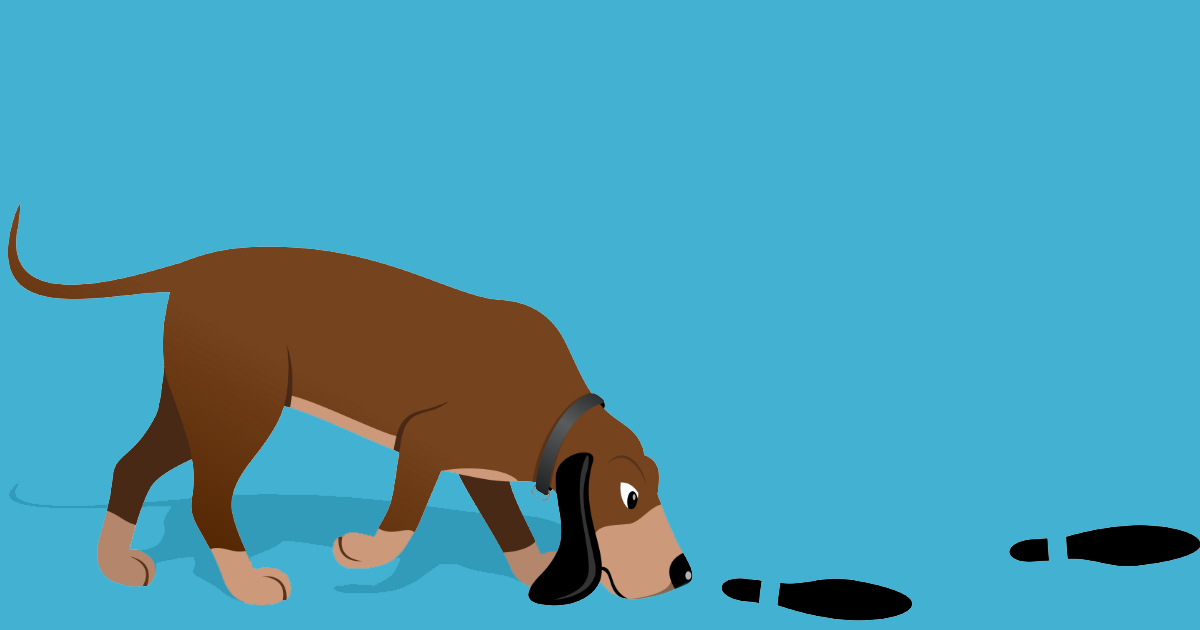 האם כלבים אכן יכולים למצוא את דרכם חזרה הביתה?